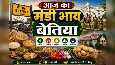 आज आलू ₹700 क्विंटल से शुरू, सरसों तेल ₹140-190, जानें बेतिया मंडी के ताजा भाव